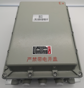 集中控制箱 防爆